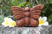 asdoos-vlinder